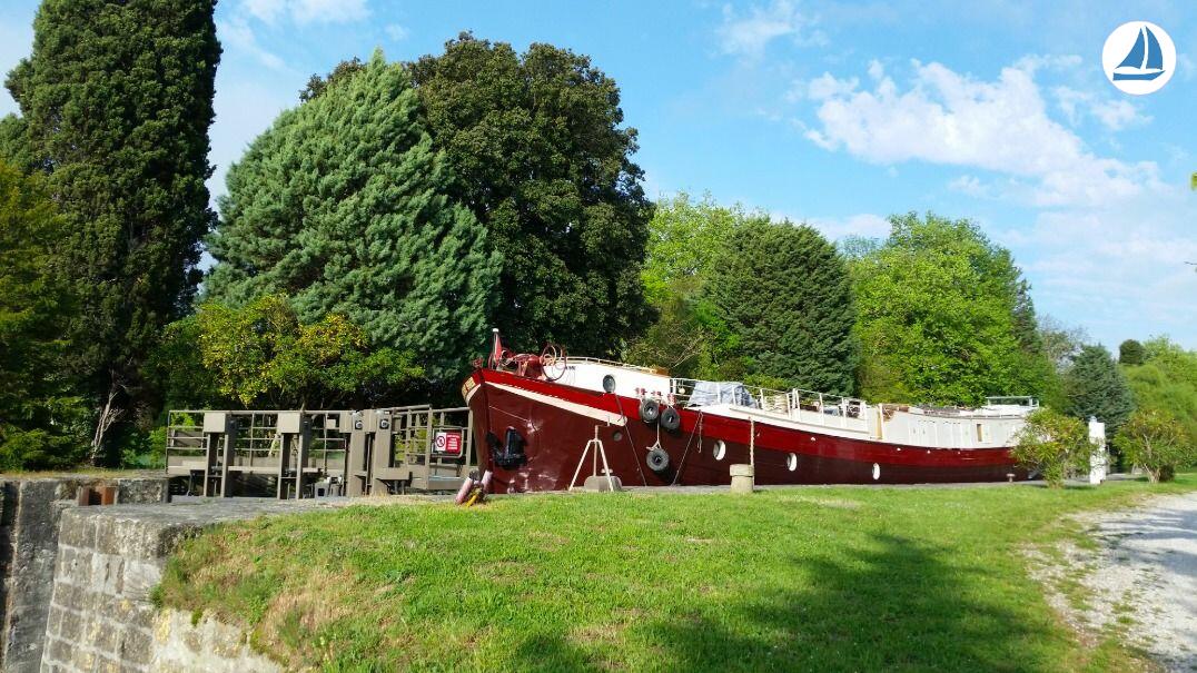 фото Clipper 1894 2