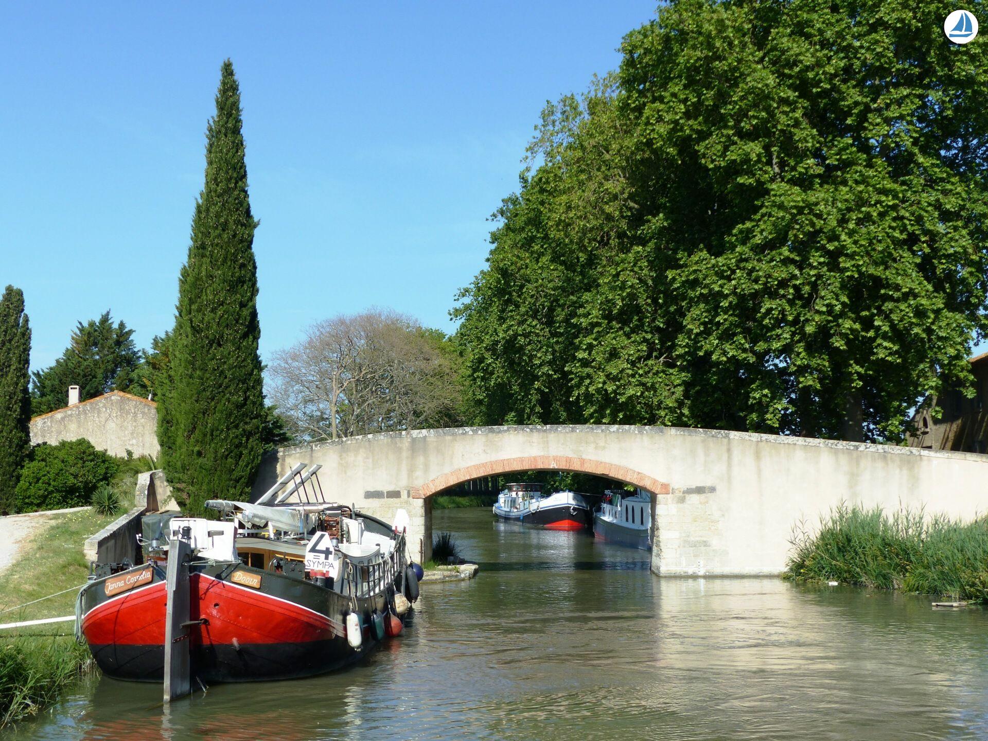 фото Clipper 1894 8