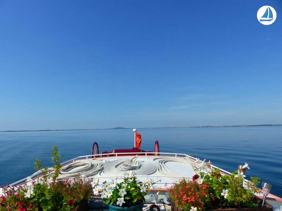 фото Clipper 1894 9