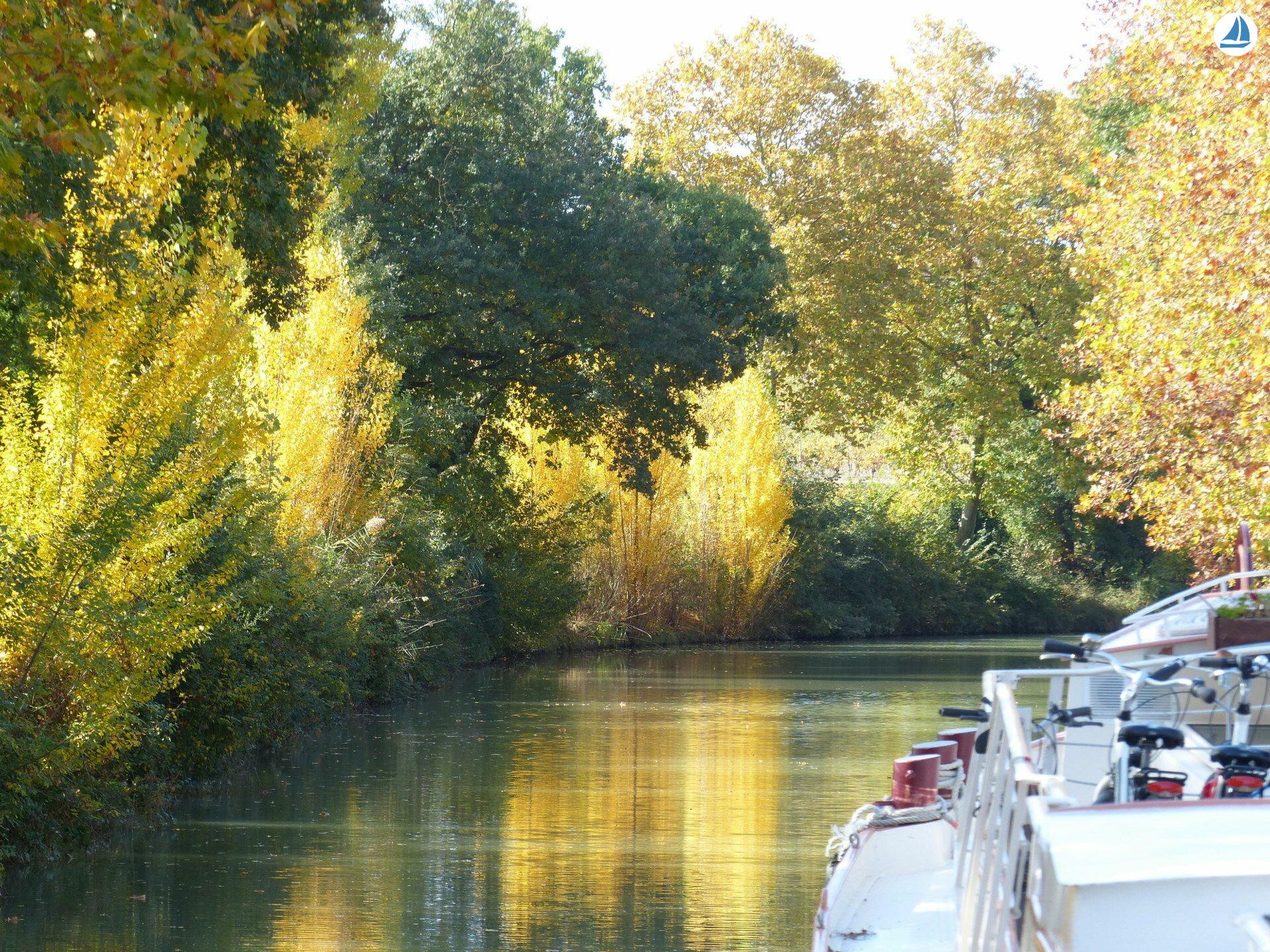 фото Clipper 1894 10