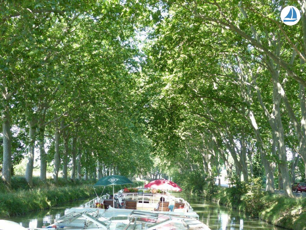 фото Clipper 1894 11