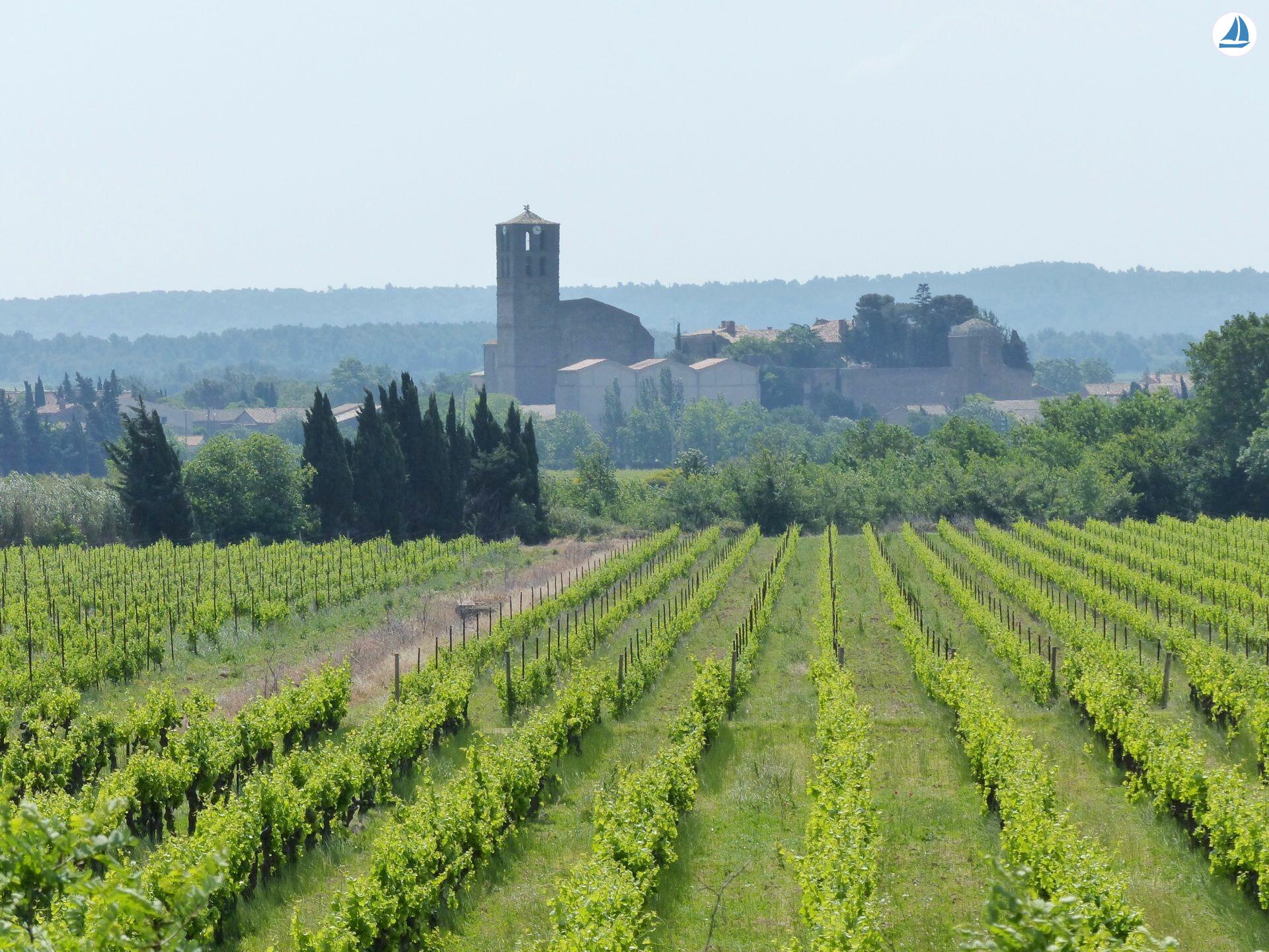 фото Clipper 1894 15