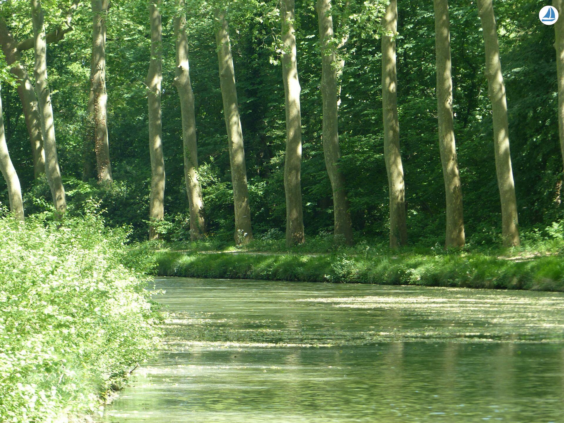 фото Clipper 1894 16