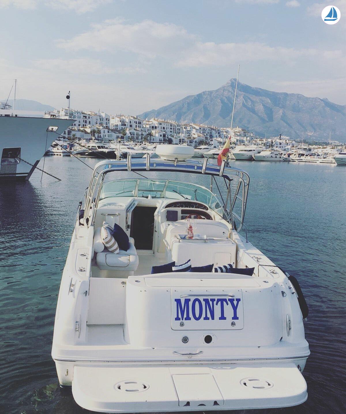 фото Sea Ray 290 3