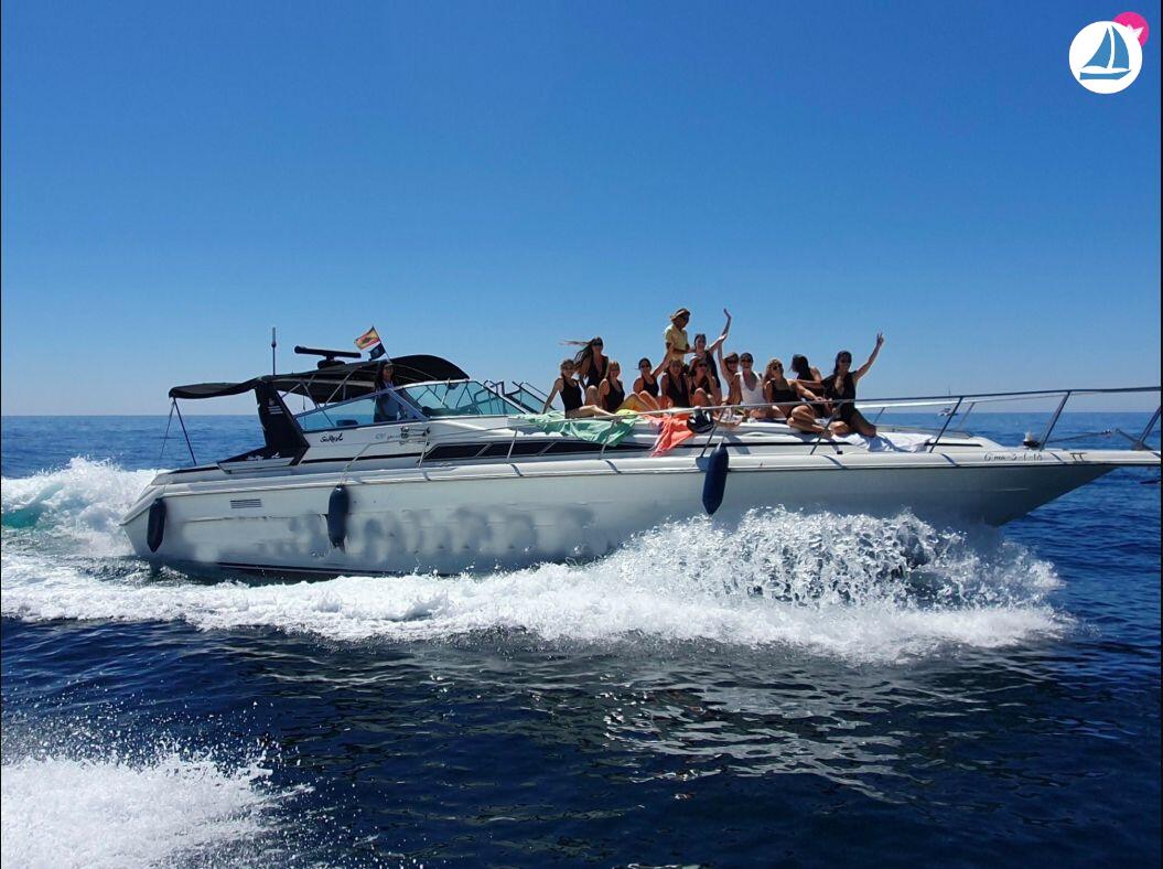 фото Sea Ray 440 Sea ray, dolphin watching 2