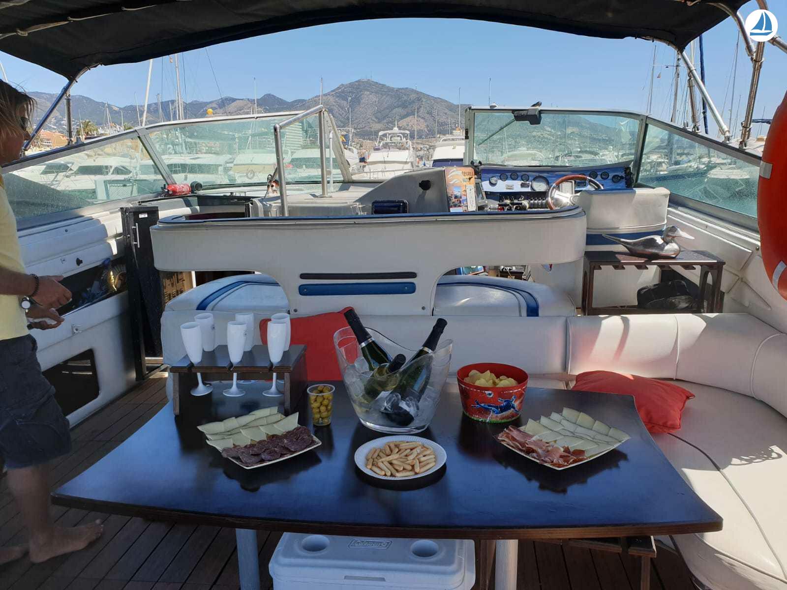 фото Sea Ray 440 Sea ray, dolphin watching 3