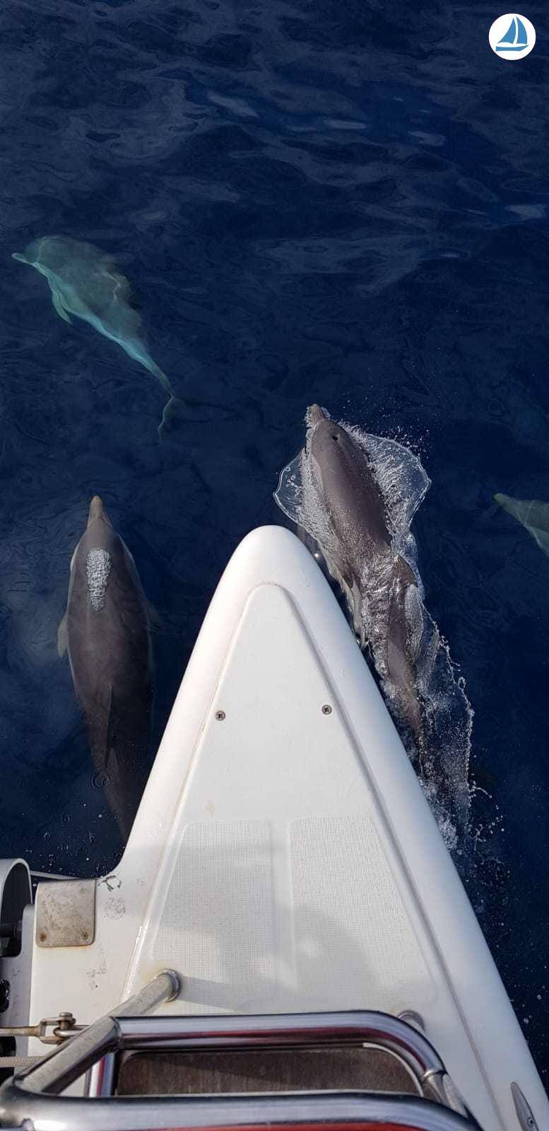 фото Lagoon 500 7