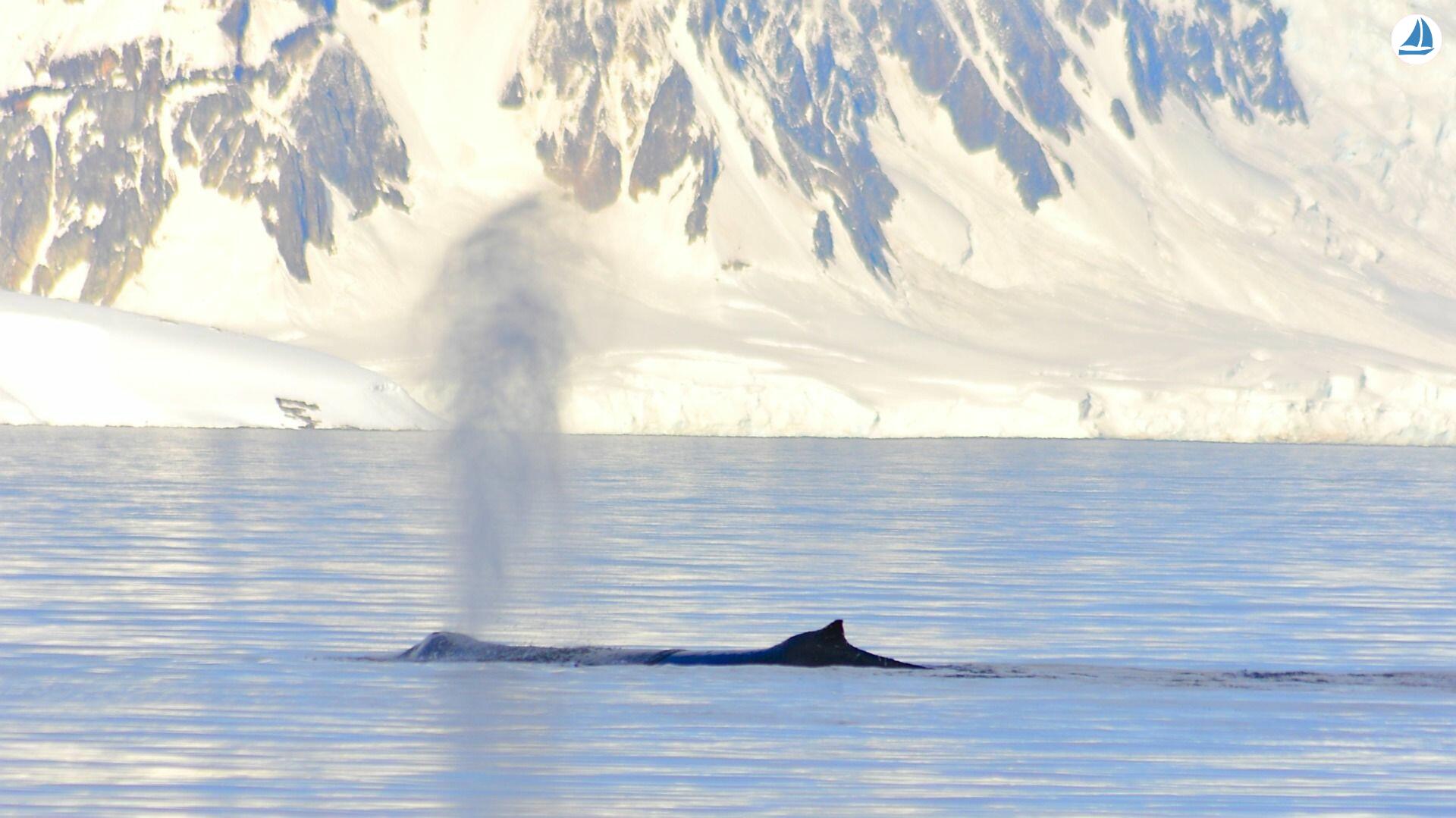 фото Custom 60' Custom 60' 8