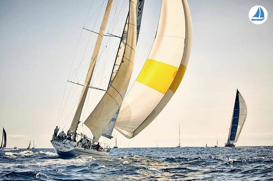 фото Whitbread 83 2