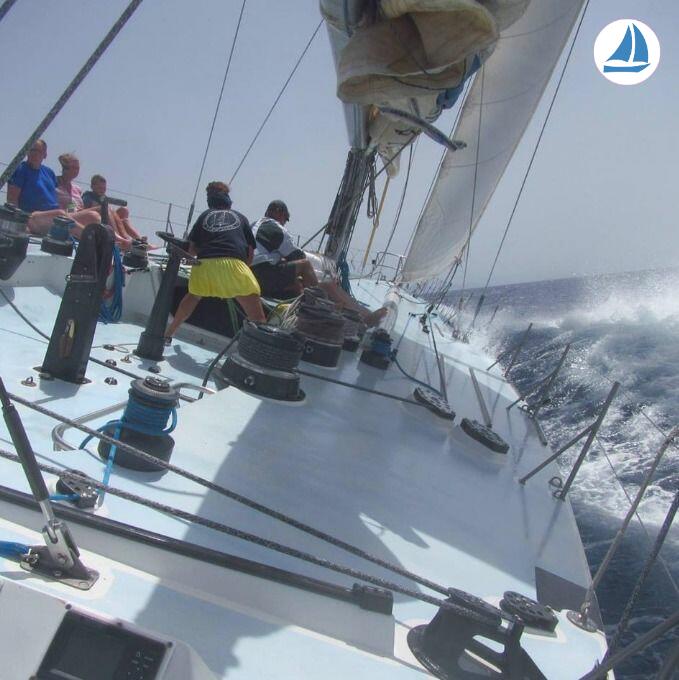 фото Whitbread 83 3