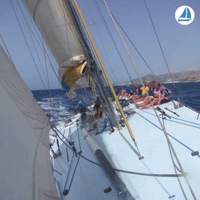 фото Whitbread 83 4