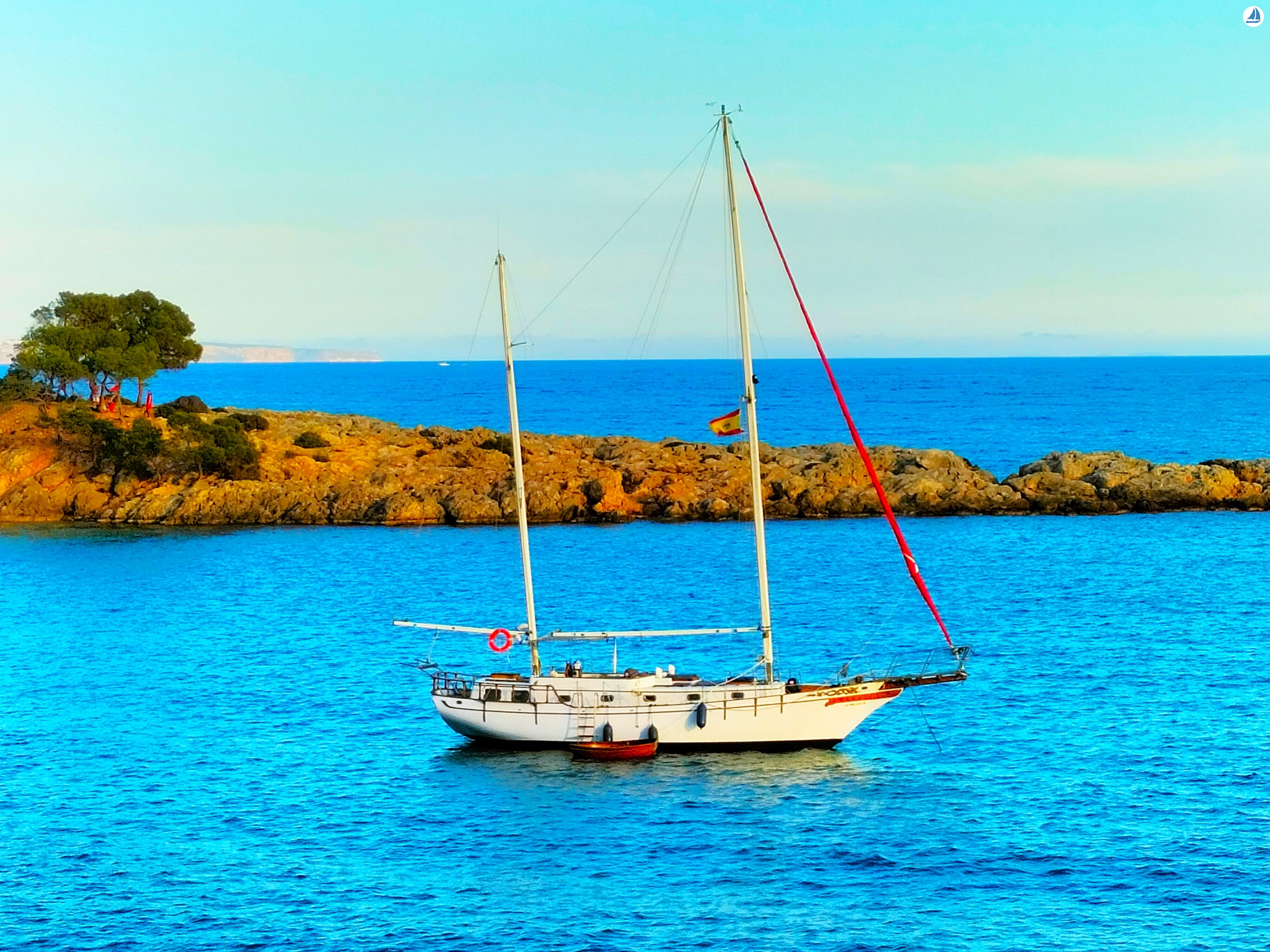 фото Perseo XXI 8