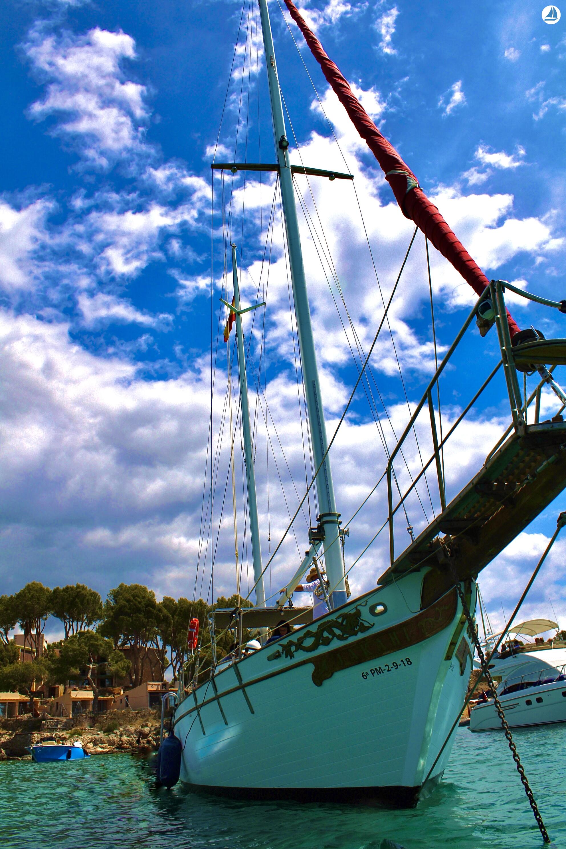 фото Perseo XXI 5