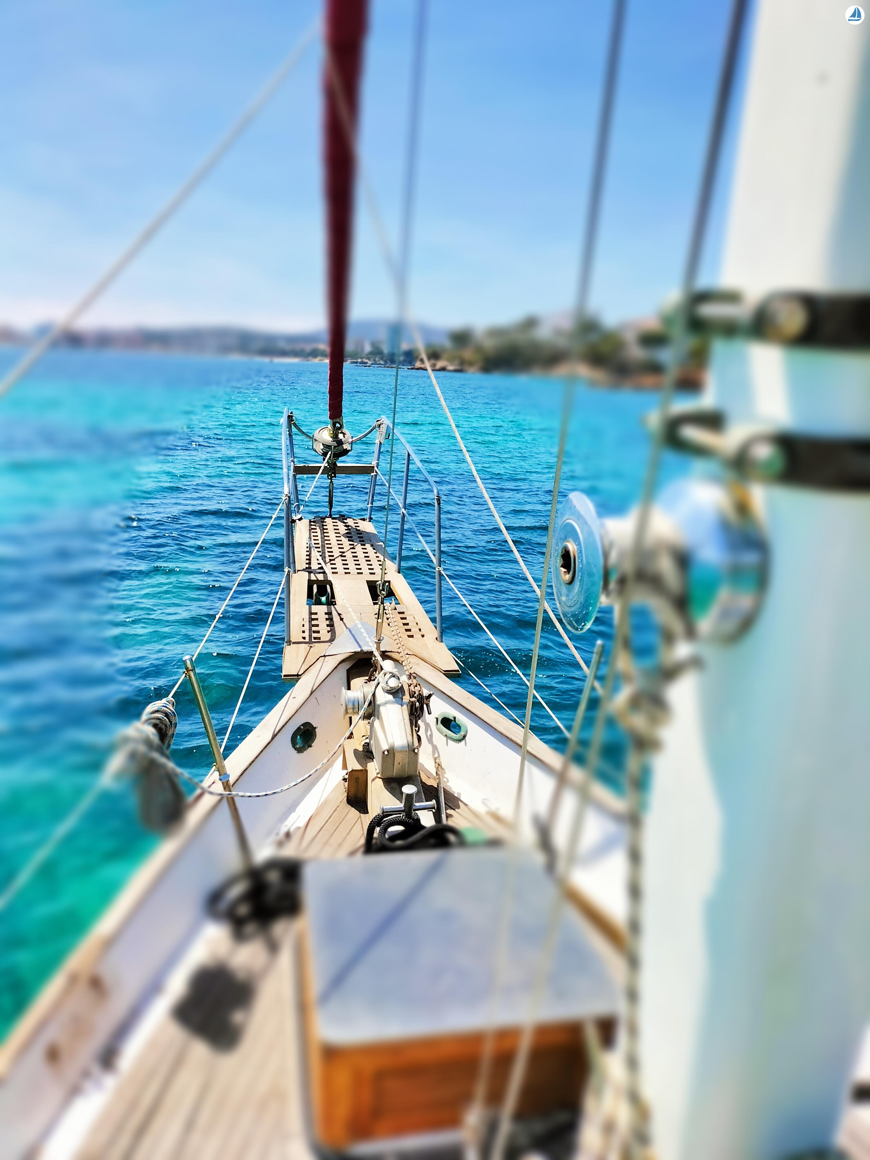 фото Perseo XXI 10