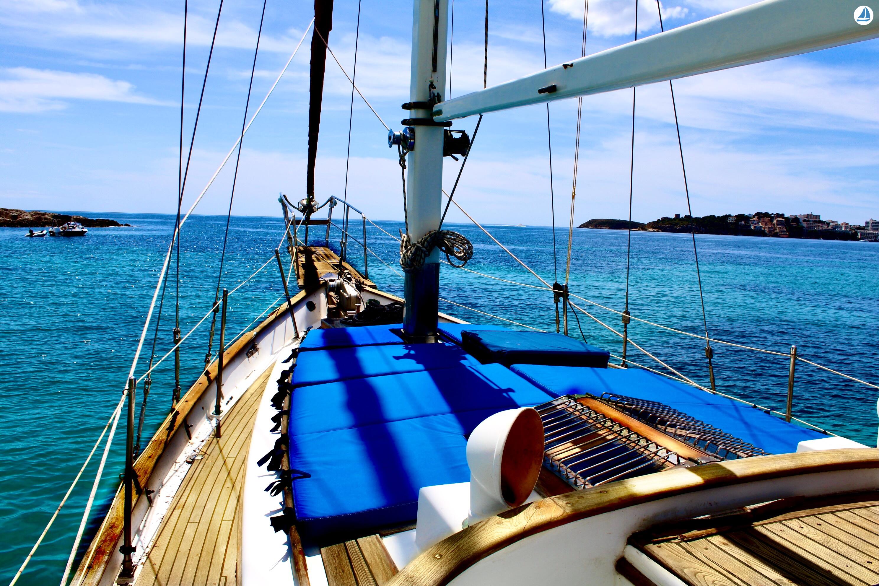 фото Perseo XXI 7