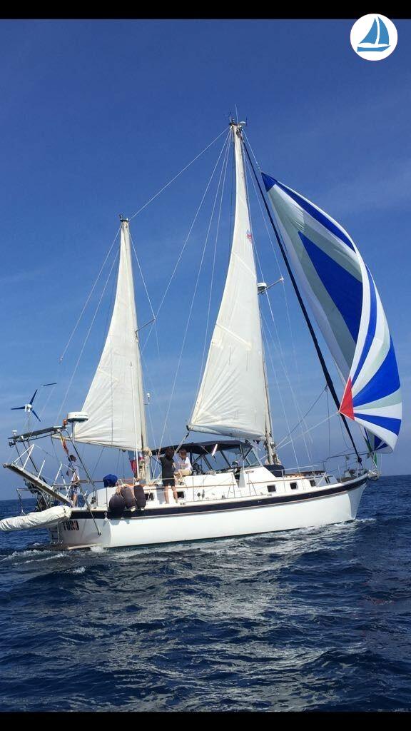 фото Gulfstar 44 M/S 2