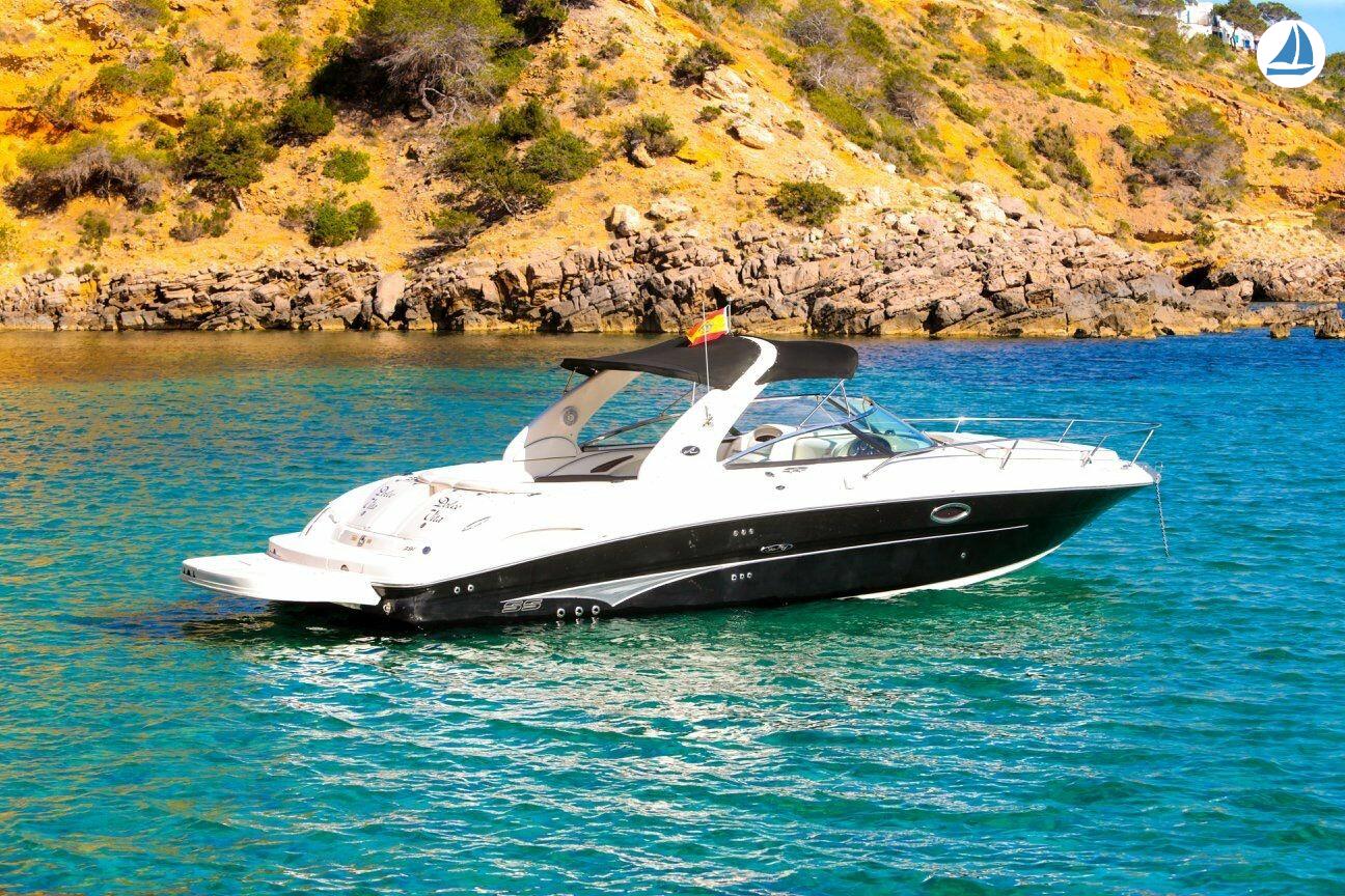 фото Sea Ray 295 SS 1