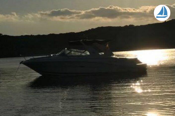 фото Sea Ray 295 SS 11